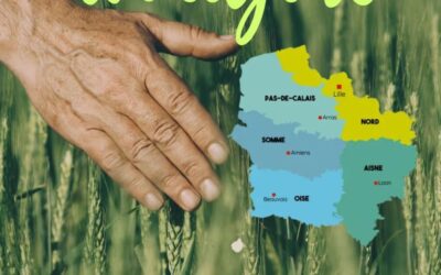Manger local et responsable : tout comprendre sur le circuit court