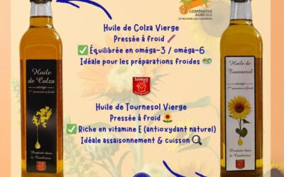 La coopérative de Saint-Hilaire-lez-Cambrai : quand l’agriculture locale devient une force collective