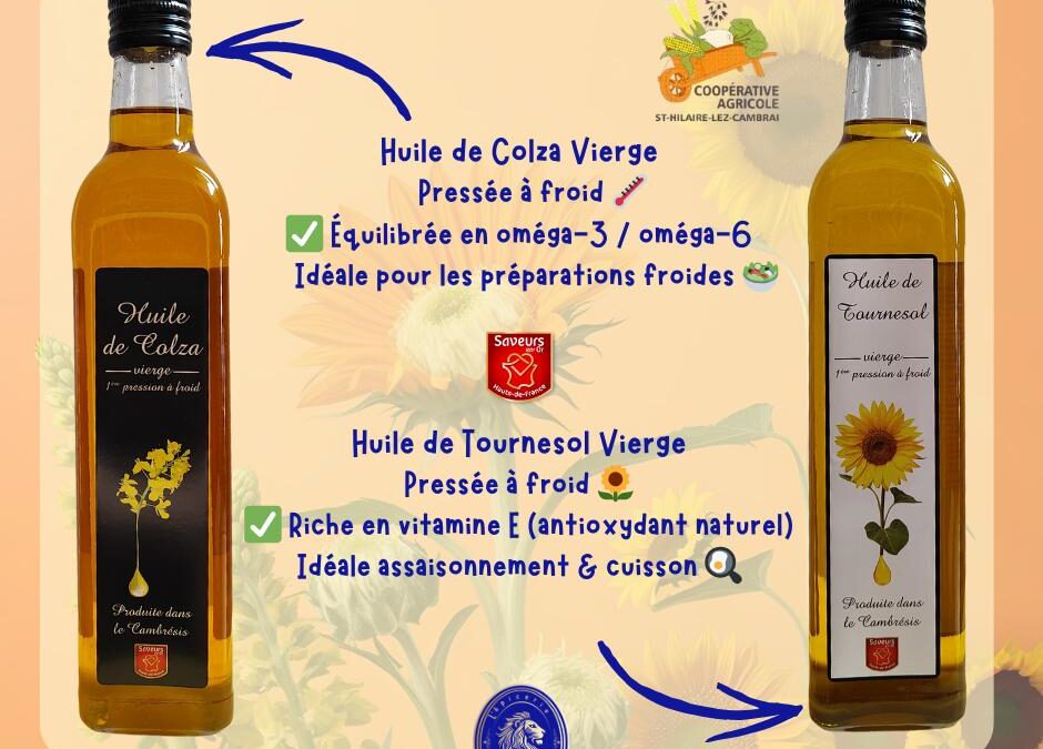 La coopérative de Saint-Hilaire-lez-Cambrai : quand l’agriculture locale devient une force collective