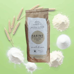 Farine de blé tendre blanche t65 1kg, Graines & pépins